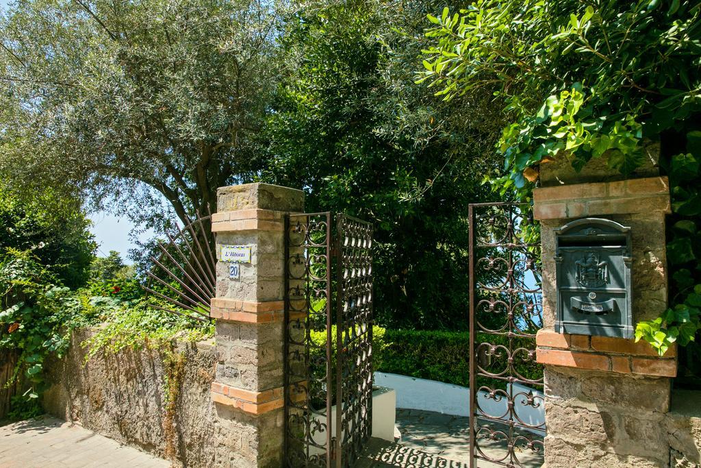 Villa Hibiscus カプリ エクステリア 写真